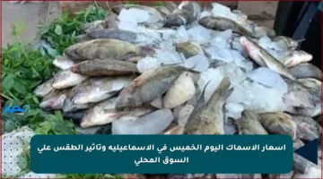 أسعار الأسماك اليوم الخميس في الإسماعيلية وتأثير الطقس على السوق المحلي